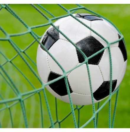 Fotbollsnt 7.5 m x 2.5 m 11-manna grn