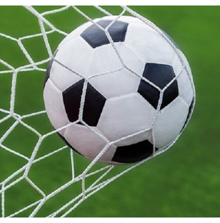 Fotbollsnt 7,5 m x 2,5 m, 11-manna Vit 3 mm Spanien