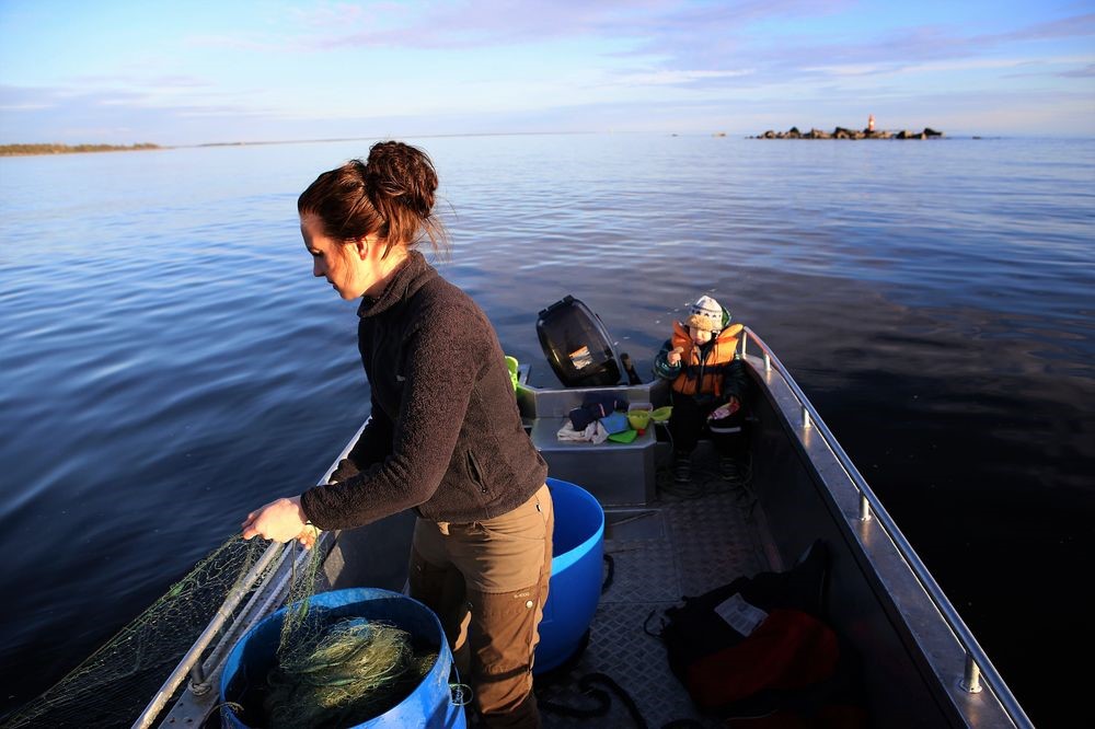 Fiska med fisknät Fisknät